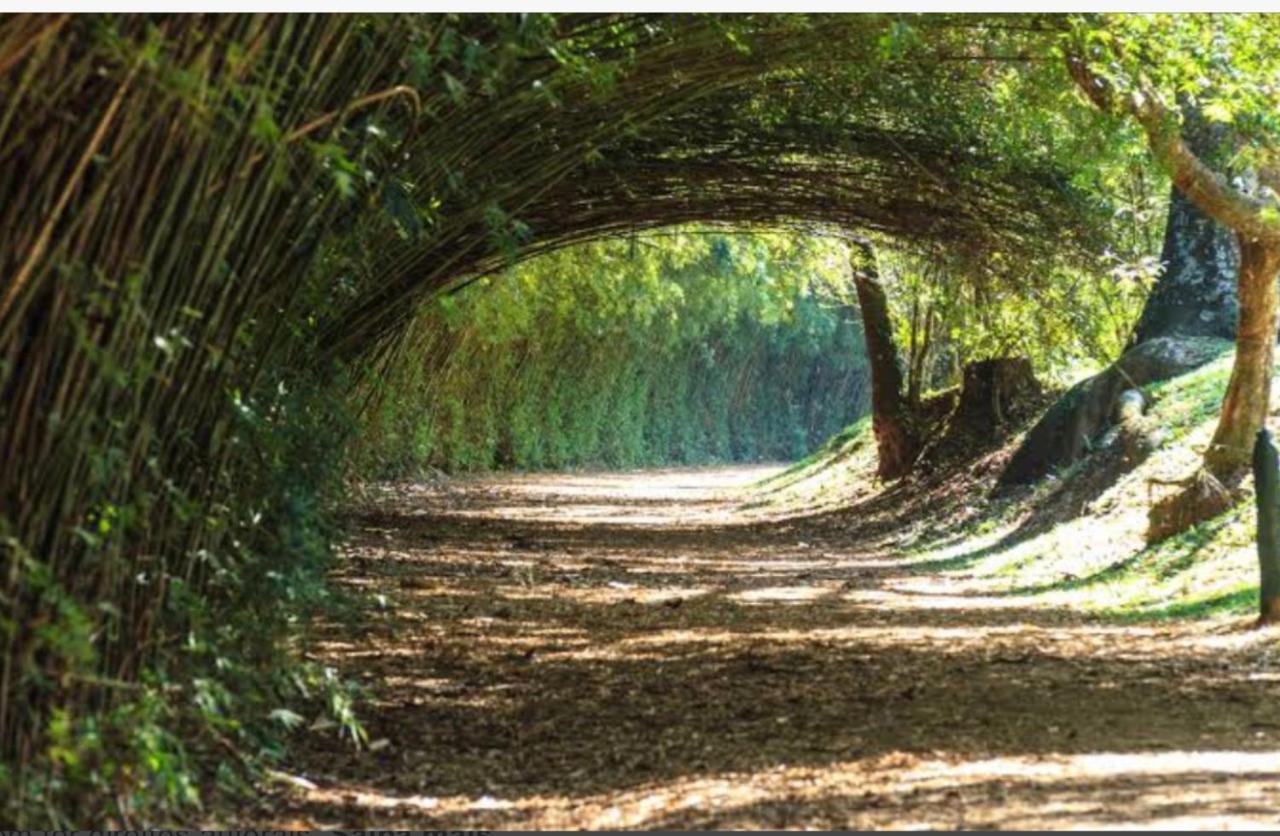 Flat Granja Viana - Espaco E Conforto โกเทีย ภายนอก รูปภาพ